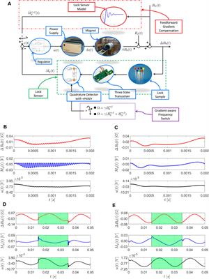 The Field-Frequency Lock for Fast Field Cycling Magnetic Resonance: From NMR to MRI
